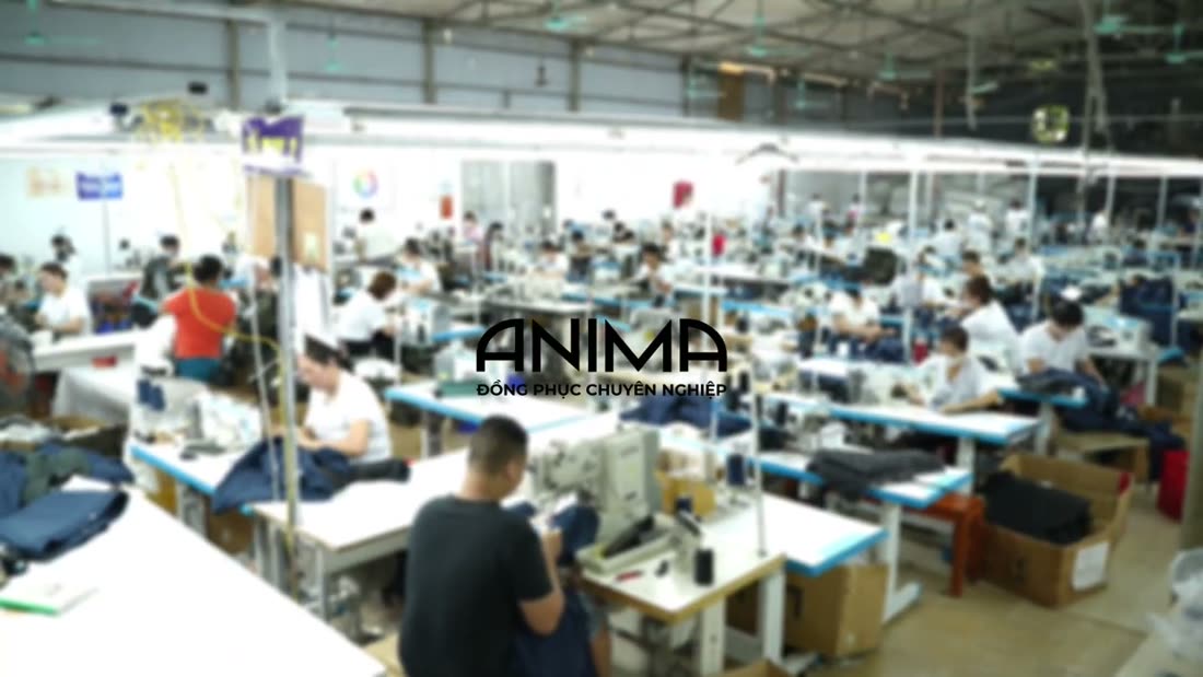 tái cấu trúc doanh nghiệp — xưởng ANIMA